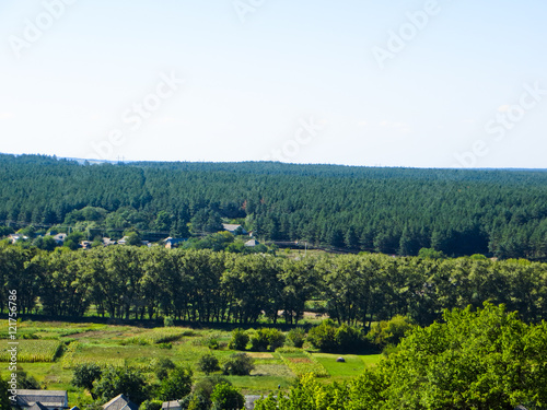 Beautiful summer landscape