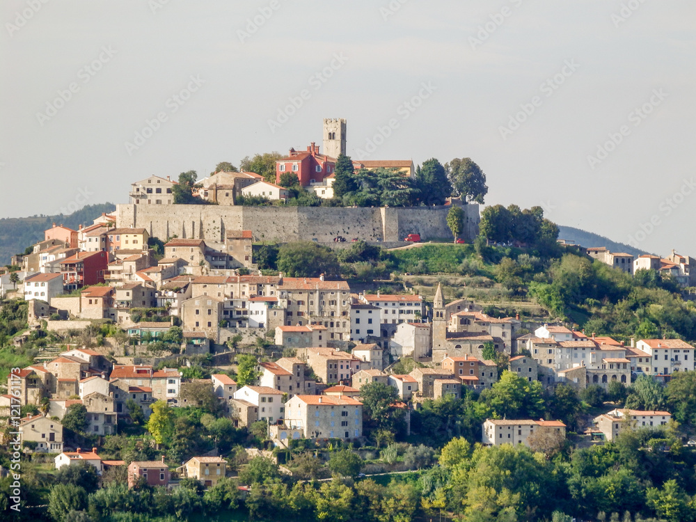 Fototapeta premium Motovun from a dsitance