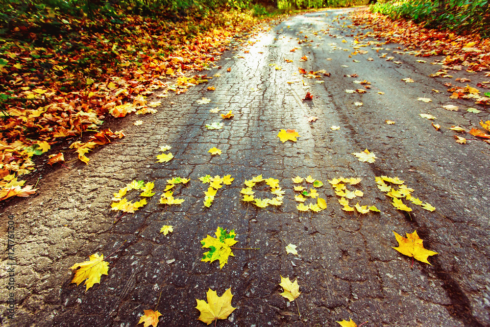 Word October written with autumn yellow maple leafs at road - obrazy, fototapety, plakaty 