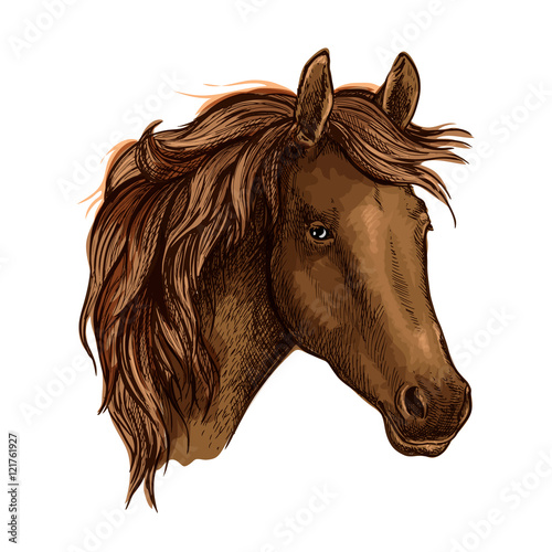 Brown graceful sad horse portrait