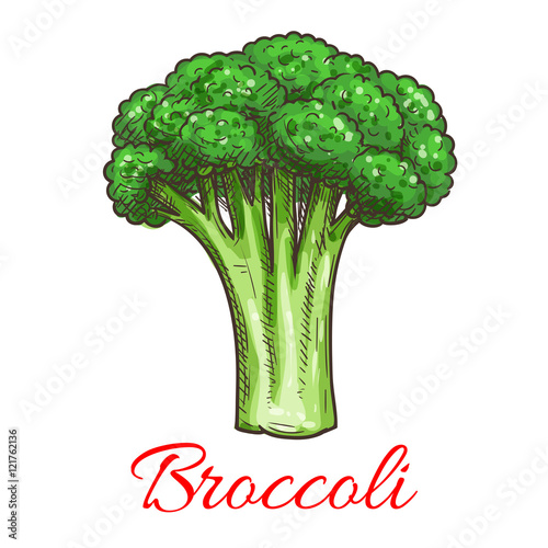 Broccoli leafy cabbage vegetable