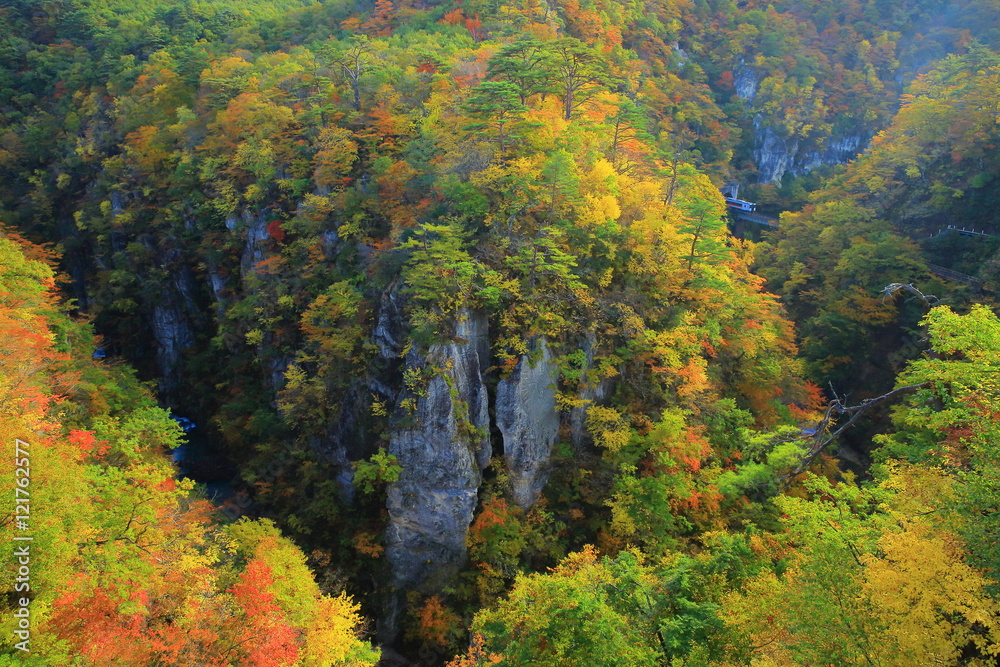 鳴子峡の紅葉 鳴子峡の紅葉