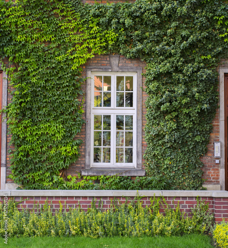 Overgrown building