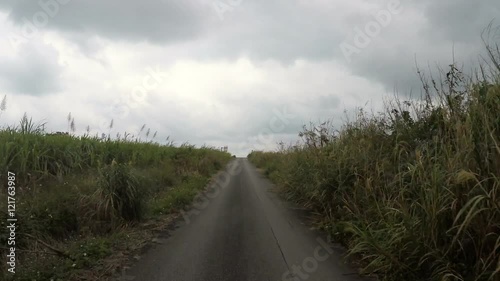 Wallpaper Mural Uphill climb towards the sky through a narrow bush. Torontodigital.ca
