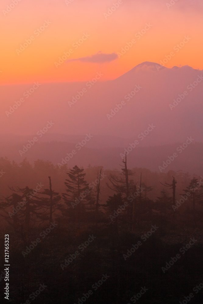 Obraz premium 紅葉の八幡平