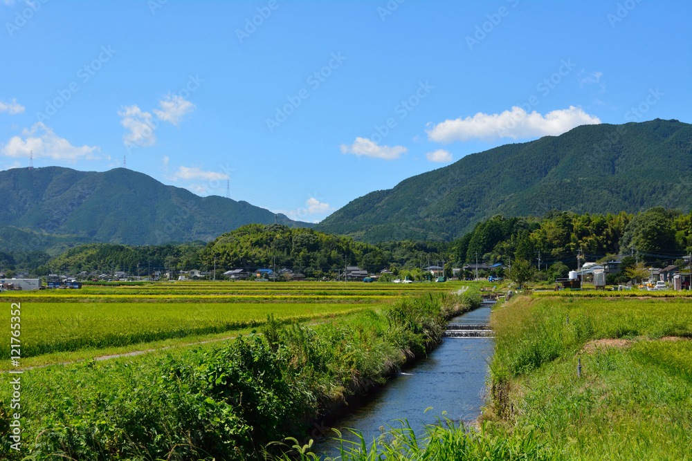 You can see the views of the creek and the rice field in country side of Fukuoka city, JAPAN. It is in August.