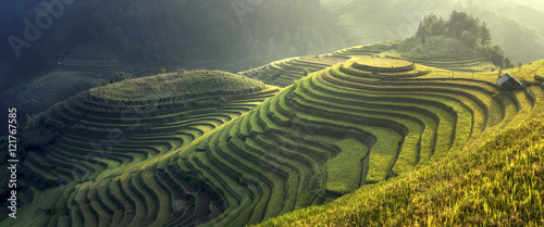  Beautiful rice terraces Mu cang chai,Yenbai,Vietnam.The symbol