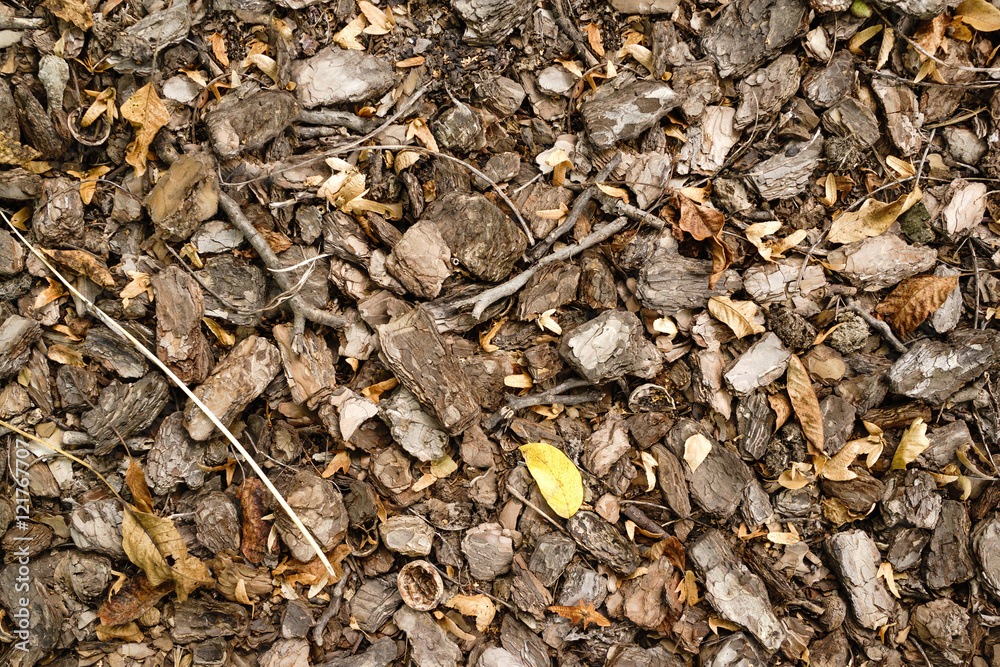 Background pieces of bark mixed