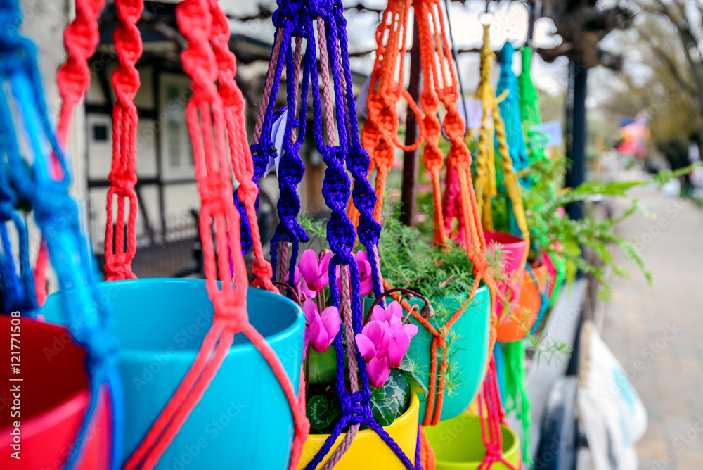 Hanging flowers in colorful pots