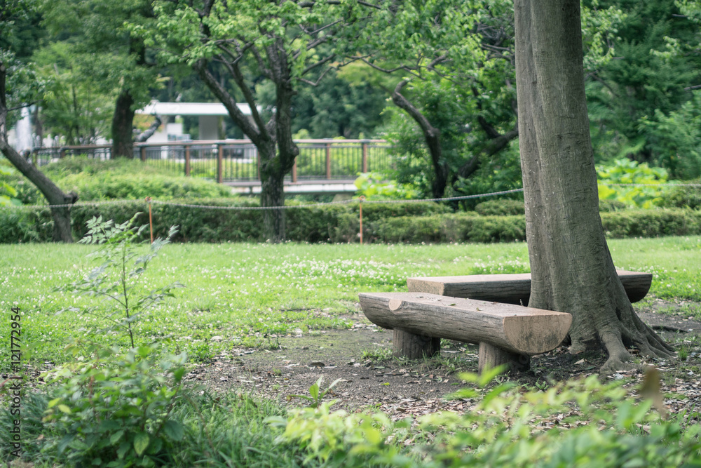 Scenery with the bench / Kyodo no mori Scenery with the bench / Kyodo no mori