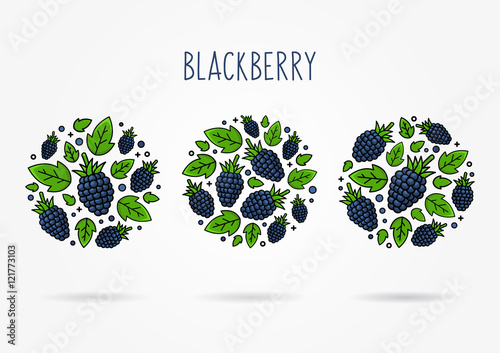 Blackberry line art vector illustration. Blackberry round labels creative concept. Graphic design for poster, banner, placard.
