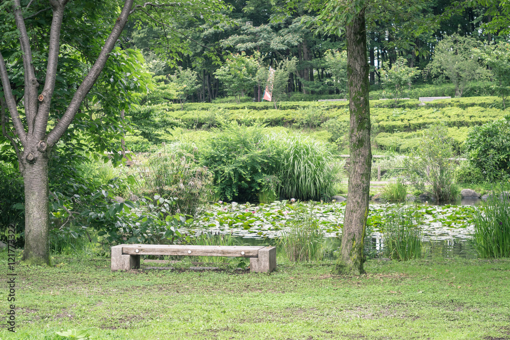 Scenery with the bench / look at a pond Scenery with the bench / look at a pond