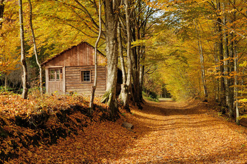 Wandcirkels Herfst Eenzaam huisje in herfstbergen  © byrdyak