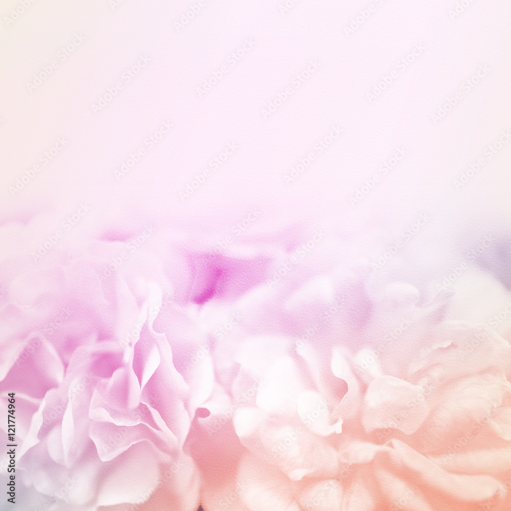 sweet roses in soft color style on mulberry paper texture for background

