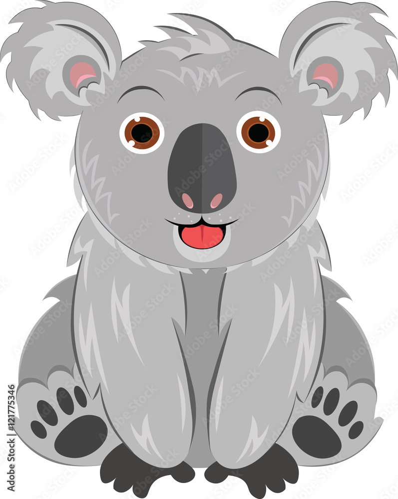 Fototapeta premium Koala Bear