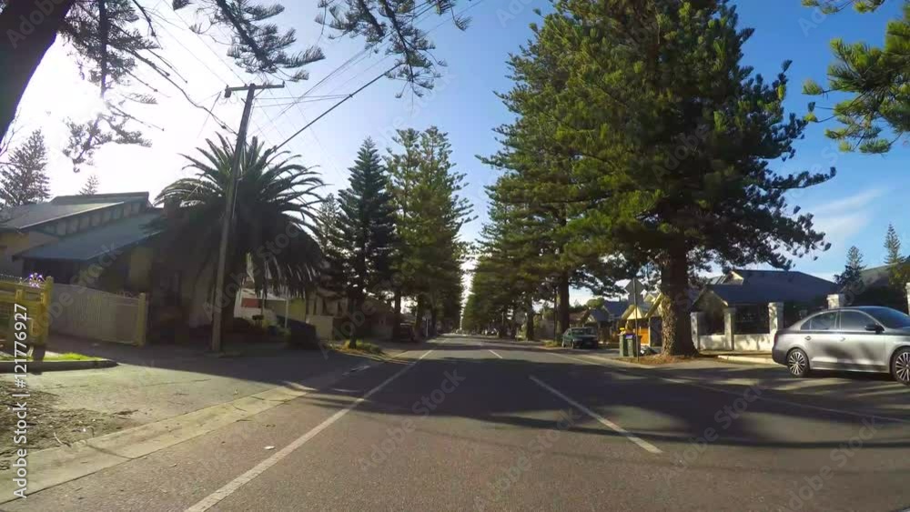 Vehicle POV driving along avenue lined with tall Norfolk Island Pine Trees, 4K Time lapse, through East Terrace, Henley Beach, South Australia. Vehicle POV driving along avenue lined with tall Norfolk Island Pine Trees, 4K Time lapse, through East Terrace, Henley Beach, South Australia.