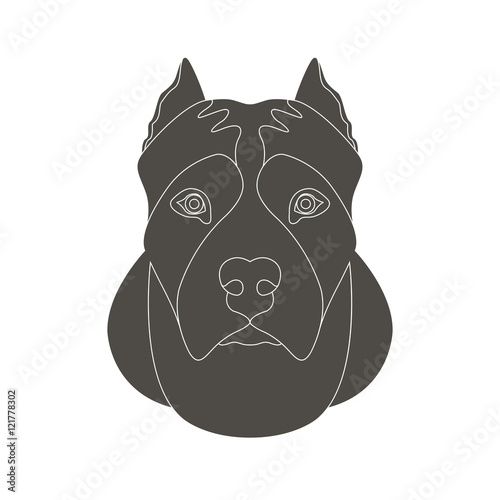 american staffordshire terrier head face vector illustration 