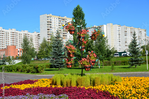 flower bed in Zelenograd in Moscow, Russia