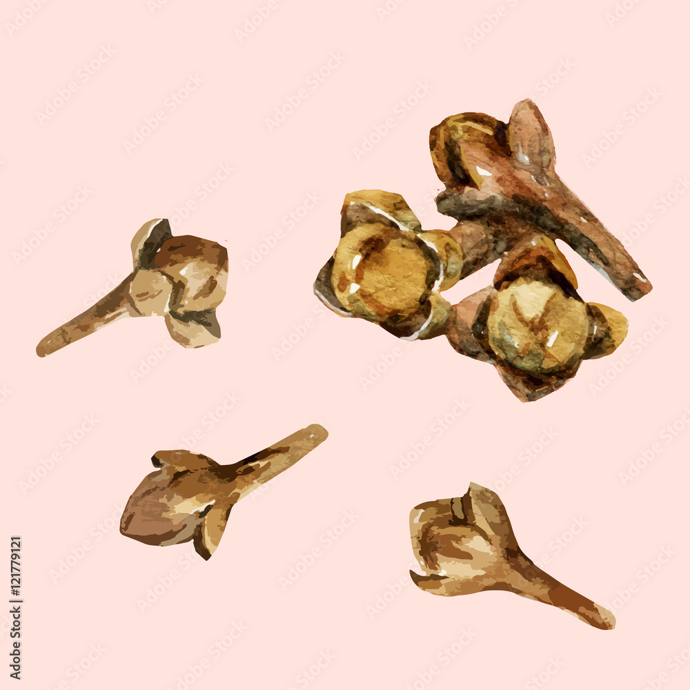 Fototapeta premium Watercolor hand drawn cloves