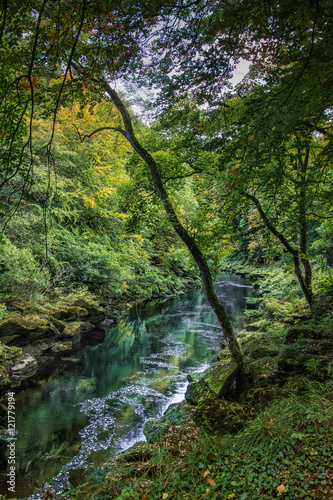 river strid near Bolton Abbey in yorkshire  England   UK