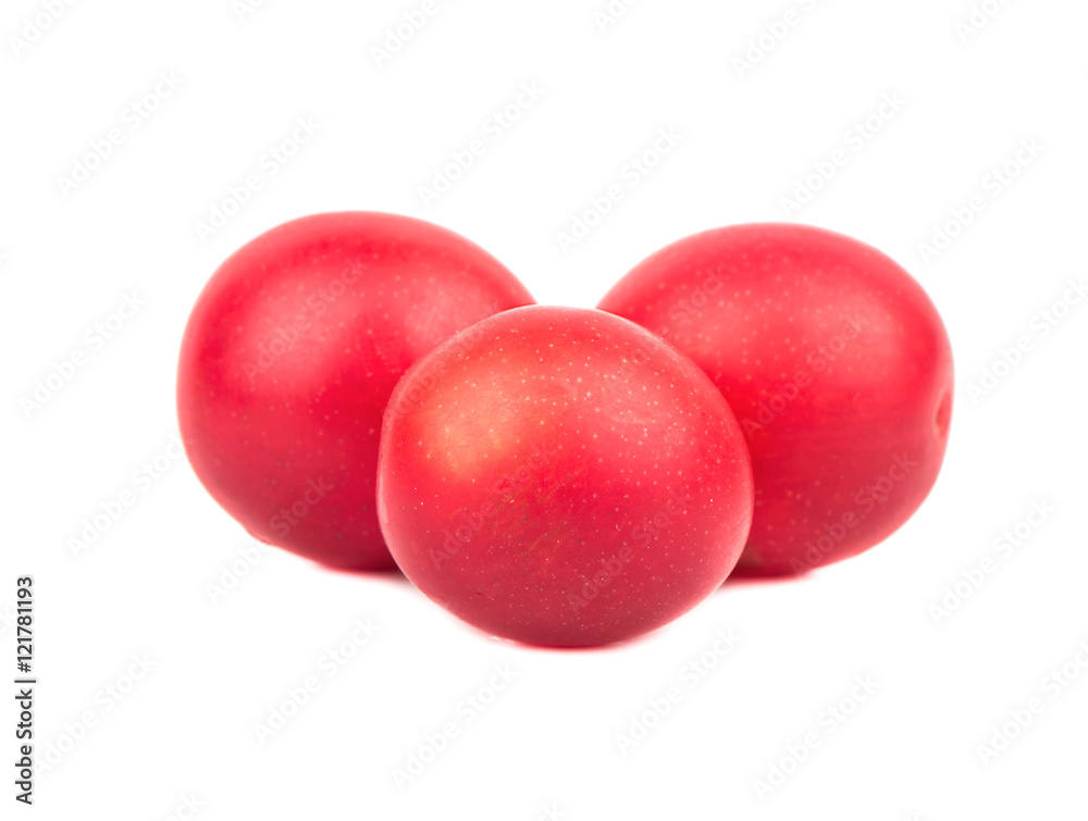Red cherry plum Red cherry plum