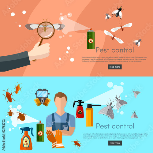 Pest control services banner detecting exterminating insects