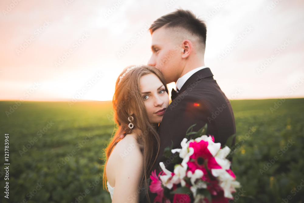 Beautiful wedding couple, love on the sunset. Fielf with flowers Beautiful wedding couple, love on the sunset. Fielf with flowers
