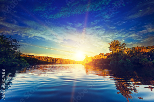 Picturesque forest and the river