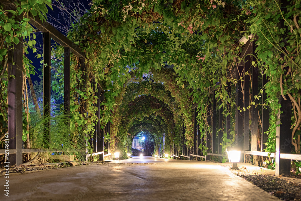 Tunnel arch pathway garden illuminate lighting Stock Photo | Adobe Stock