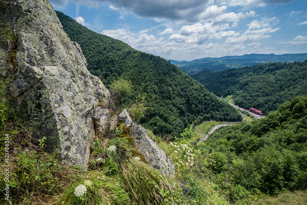 Obraz premium Aerial view from ruined Poenari Castle on Mount Cetatea in Romania