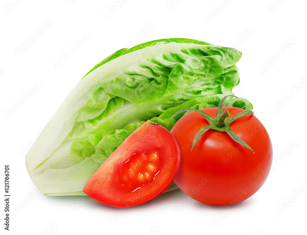 Isolated fresh salad romaine lettuce and red tomato with slice of ripe tomato on a white background. Design element for product label, catalog print, web use. Isolated fresh salad romaine lettuce and red tomato with slice of ripe tomato on a white background. Design element for product label, catalog print, web use.