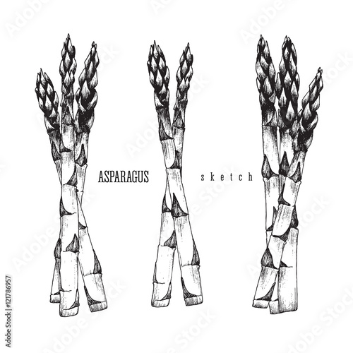 3 Bundle of asparagus of 3 and 2 stalks of asparagus vector isolated set black illustration sketch hand drawn on white background.
