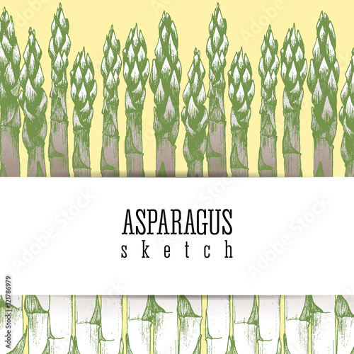Stalks of asparagus background vector isolated sketch hand drawn colorful illustration. Design layout.