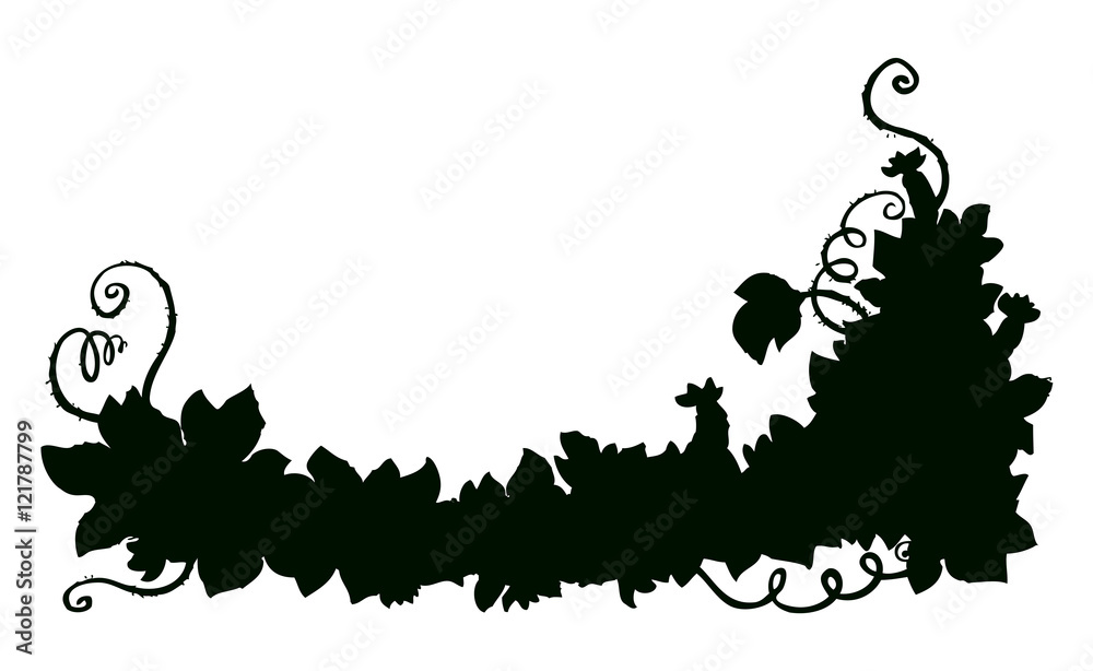 Cucumber vine. Vector drawing Stock Vector Adobe Stock