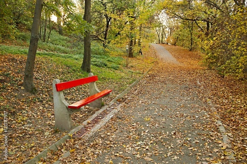 Autumn park with bench