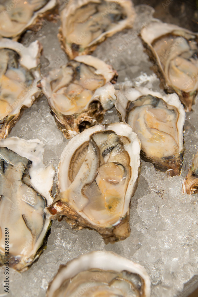  appetizer Raw oysters on ice  Display