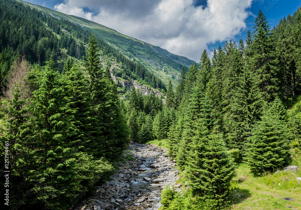 creek next to Transfagarasan Road in southern section of Carpathian Mountains in Romania