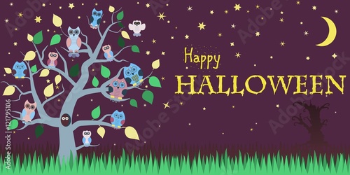 Halloween background with owls on tree, night sky, moon