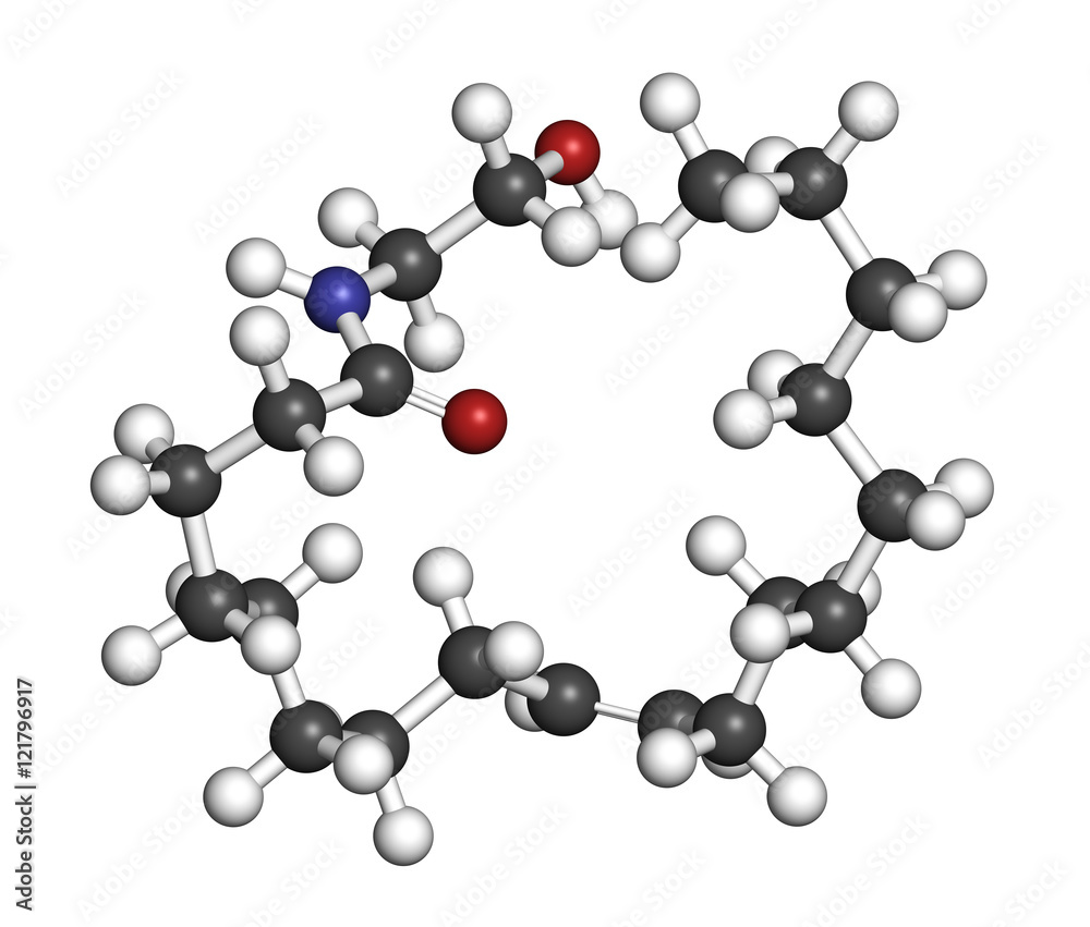 Oleoylethanolamide (OEA) molecule