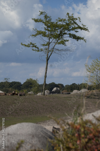 At The Zoo