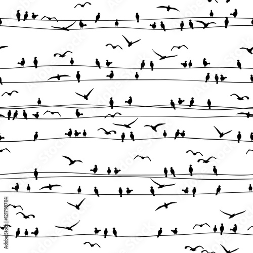 Seamless pattern of birds sitting on electrical wires