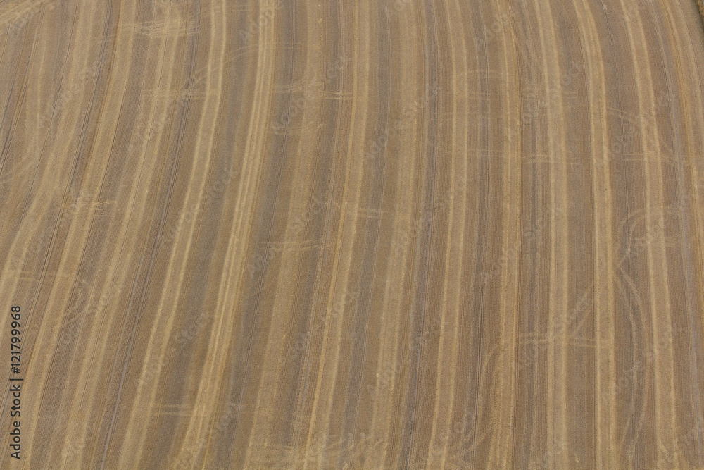 Naklejka premium summer landscape