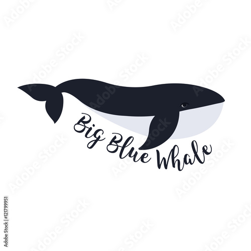 Naklejka na ścianę Wektorowa ilustracja wieloryb. Projekt symbolu