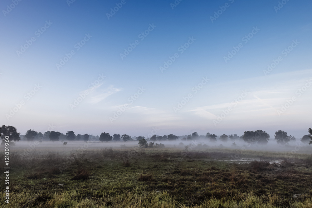 morning fog cover the rice field with blue sky morning fog cover the rice field with blue sky