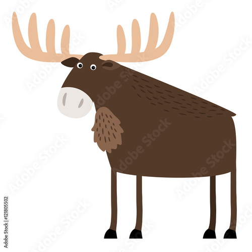 Wise old elk with branched antlers
