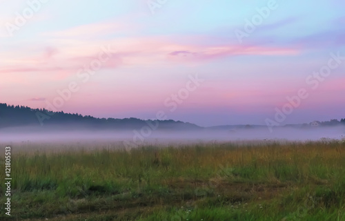 Fog on summer evening in field