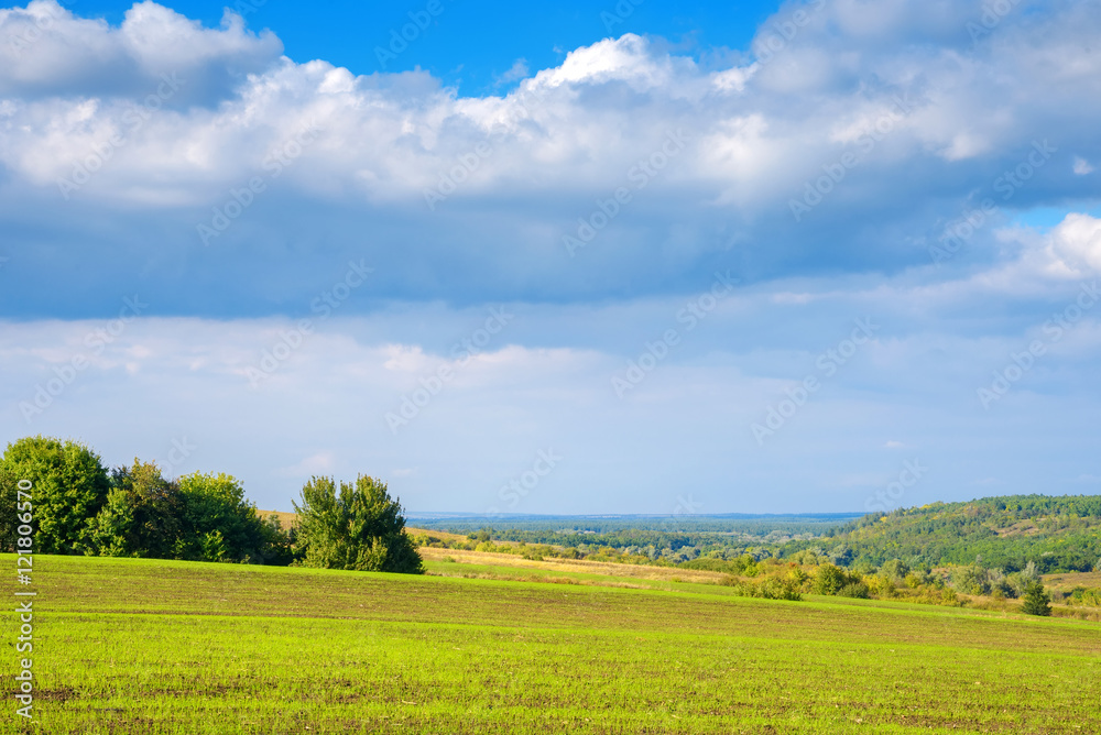 View on meadow green field ladscape