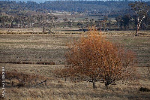 Fototapeta Naklejka Na Ścianę i Meble -  Views of rural Tasmania