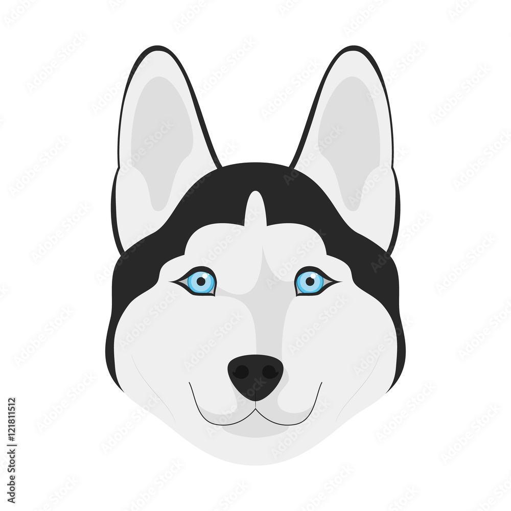 Siberian Husky dog isolated on white background vector illustration Siberian Husky dog isolated on white background vector illustration