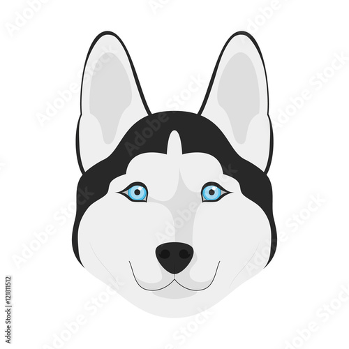 Siberian Husky dog isolated on white background vector illustration
